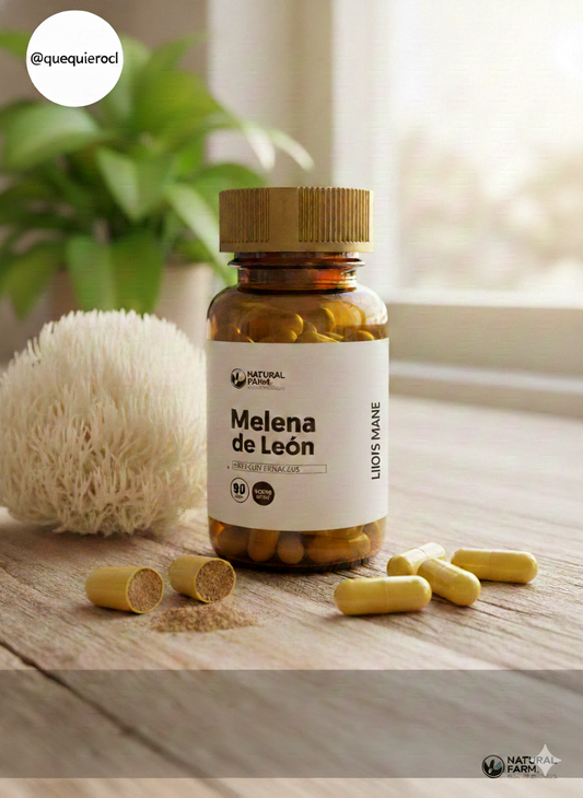 Melena de León: Tu Aliado para el Enfoque y la Claridad Mental